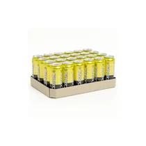 Pack de 24 cannettes Castel Beer 50cl sur fond blanc, prêt à servir