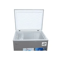 Vue de l'intérieur du Congélateur Roch 99 Litres RCF-125-A