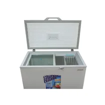 Vue de l'intérieur du congélateur Sharp 250 Litres SCF-K250XL-SL2