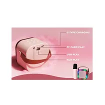 Présentation des ports du Kit Karaoké Enfant portable K12 rose comprenant deux microphones sans fil et une enceinte Bluetooth