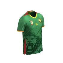 Maillot Lions Indomptables FOURTEEN Jersey de couleur verte, vue de profil