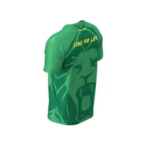 Maillot Fan des Lions Indomptables FOURTEEN de couleur vert, vue de profil