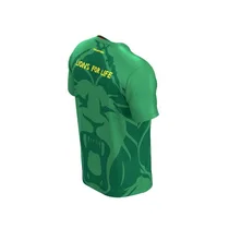 Maillot Fan des Lions Indomptables FOURTEEN de couleur vert, vue du profil droit