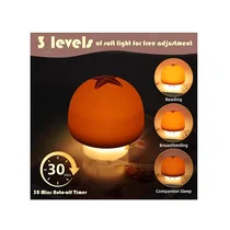 Présentation de l'utilisation de la Veilleuse pour enfant Mushroom A021