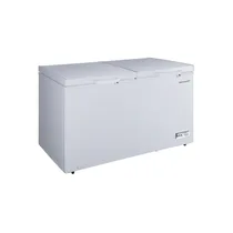 Gros plan sur les deux couvercles du congélateur Double Porte SHARP, avec poignées et serrure