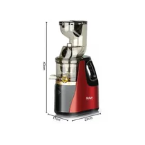 extracteur-raf-r2831-bac-collecteur