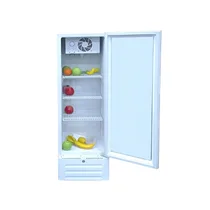 Vue de l'intérieur du réfrigérateur mini-vitrine compact Oscar OSC-V200 de 130 Litres