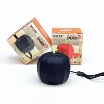 Mini Haut-parleur Sans Fil Portable modèle WS-885