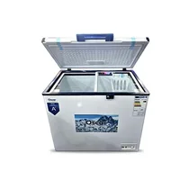 Intérieur du congélateur OSCAR 210L avec grande capacité de stockage