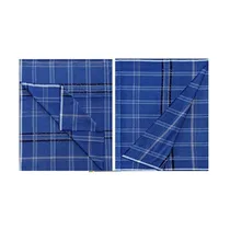 Drap bleu à carreaux sur lit double dans une chambre moderne