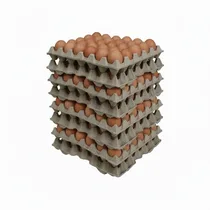 Pile de 10 alvéoles d'œufs frais empilées pour un stockage en vrac optimisé.