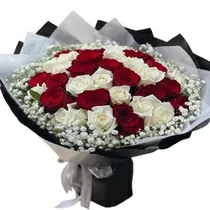 Détail des pétales de roses rouges et blanches fraîchement cueillies.