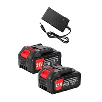 Zoom sur deux batteries lithium 21V pour outils de jardin.