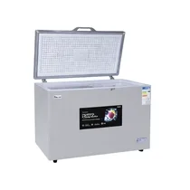 Intérieur du congélateur coffre DELTA 190XX grande capacité