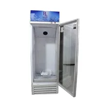 Intérieur réfrigérateur Roch RSF-410-O avec étagères