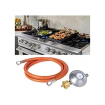 Accessoire gaz cuisine compatible gazinière et barbecue
