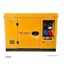 groupe électrogène ROCH RDG-8500-S3 vue complète