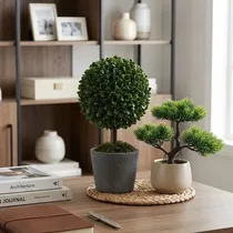bonsaï artificiel buis miniature décoration intérieure