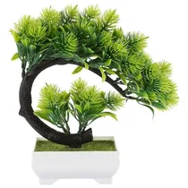 petit bonsaï décoratif sur étagère maison