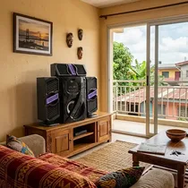 enceinte ROCH RS-PK01S pour maison et fête