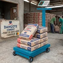 Balance industrielle 600 à 1000 kg Prix Cameroun