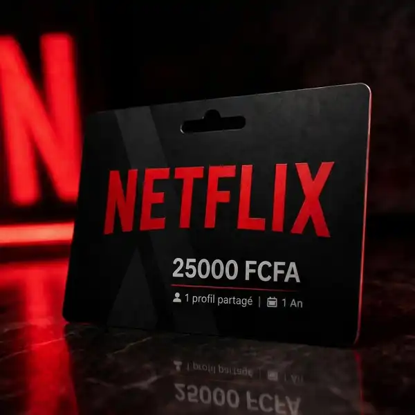 Offre Netflix profils partagés Cameroun