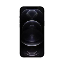 Grand écran OLED 6,7 pouces iPhone 12 Pro Max