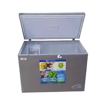 Vue intérieure du congélateur ND350 368 litres avec espace de stockage