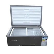 Intérieur spacieux du congélateur DELTA DCF-200-UB 200 litres