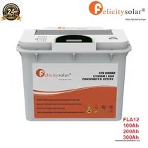 Batterie Lithium Felicity Solar FLA 12V