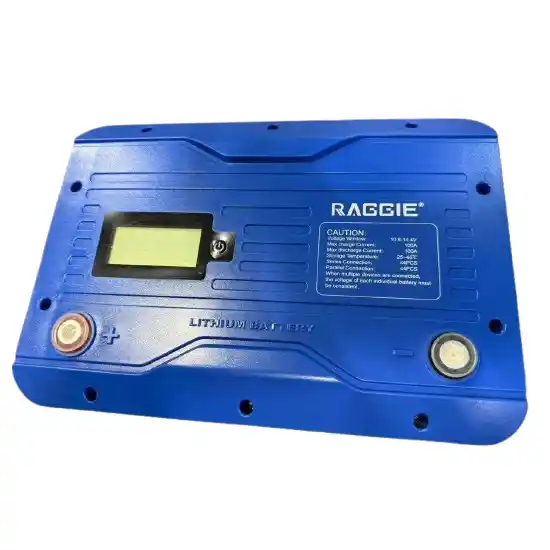 Batterie lithium RAGGIE RG-LF 12,8V avec écran LCD intégré.