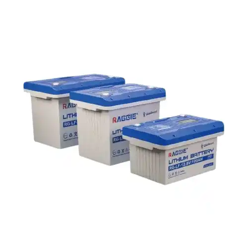 Batterie solaire LiFePO4 RAGGIE RG-LF IP65 haute performance.