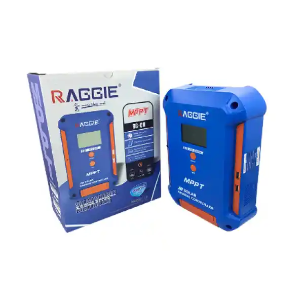 Contrôleur solaire RAGGIE compatible batteries 12V et 24V