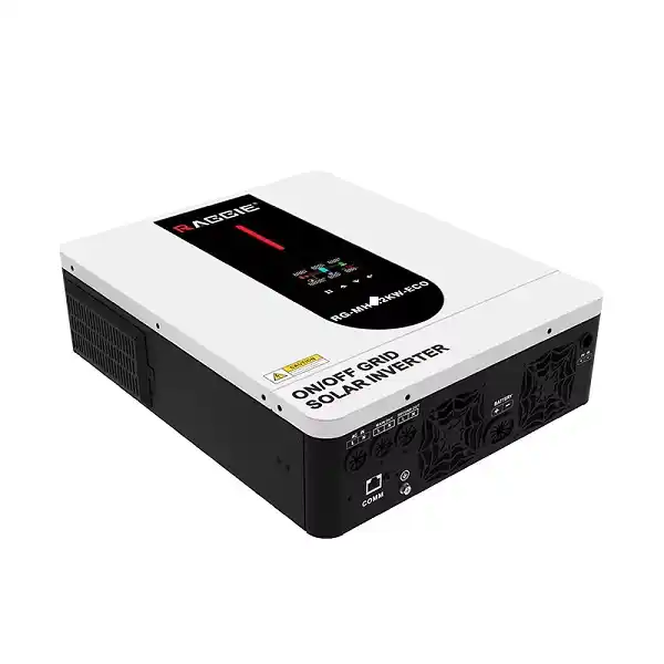 Convertisseur solaire RAGGIE MPPT 24V Pure Sine Wave