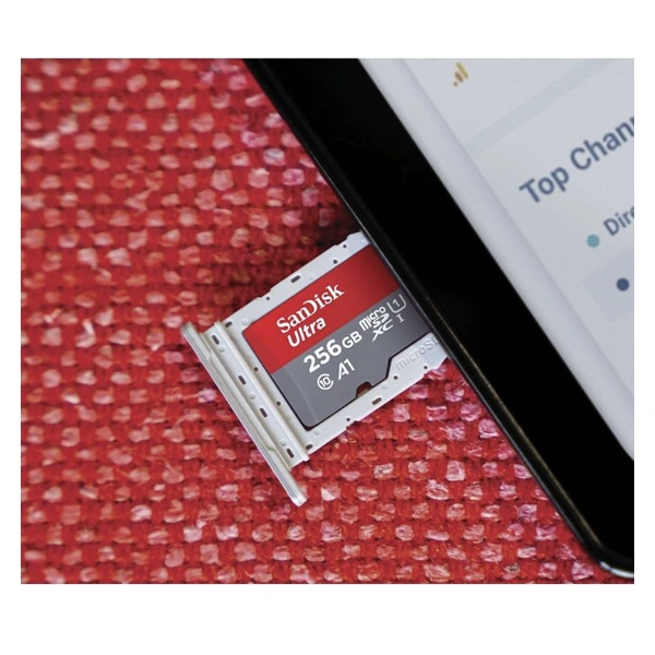 Carte Mémoire SanDisk microSDXC 256 Go haute vitesse.